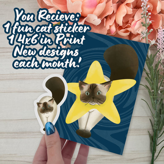 Cat of the month club - January Set