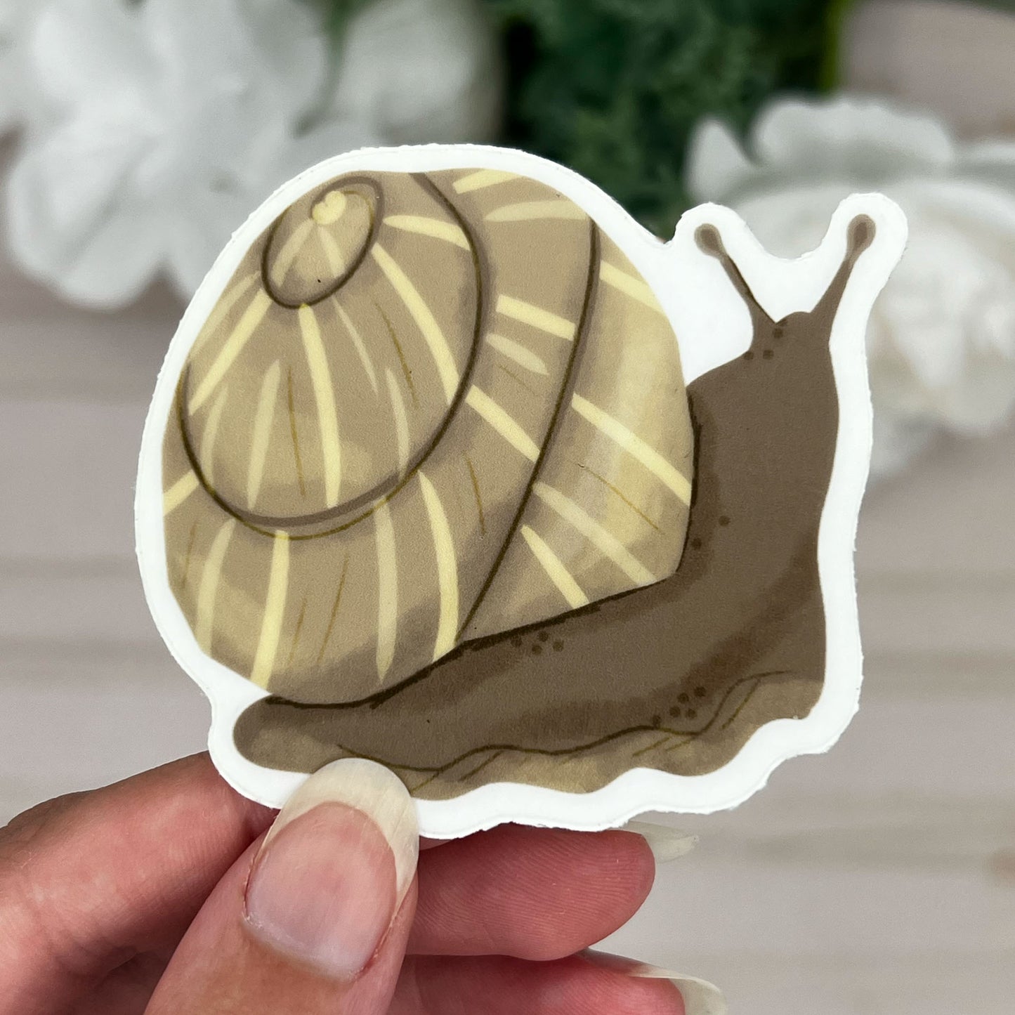 Simple Snail Sticker
