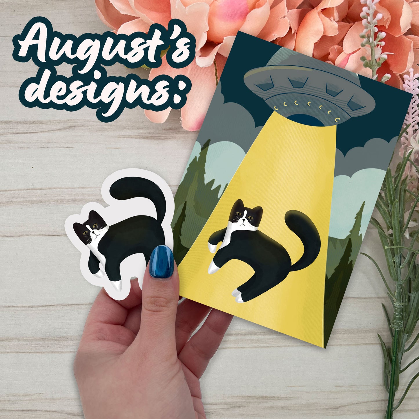 Cat of the month club - August Set
