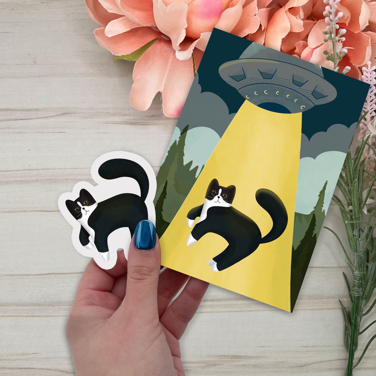 Cat of the month club - August Set