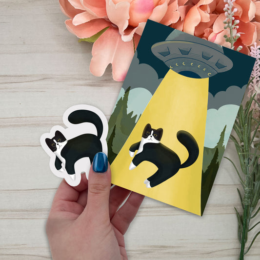 Cat of the month club - August Set