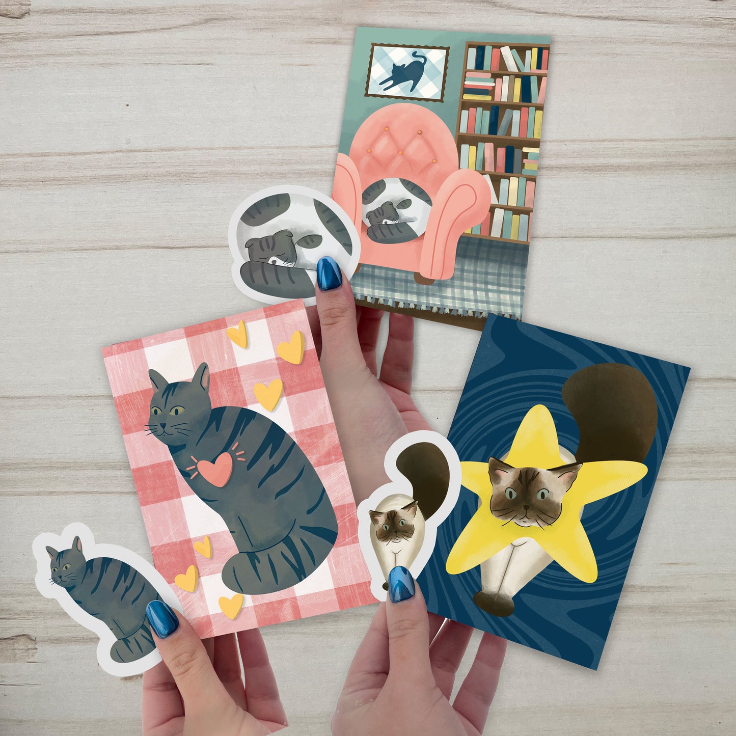 Cat of the month club - 12 Month Club Member