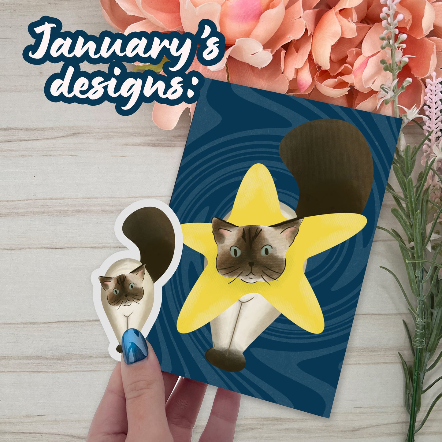 Cat of the month club - 12 Month Club Member