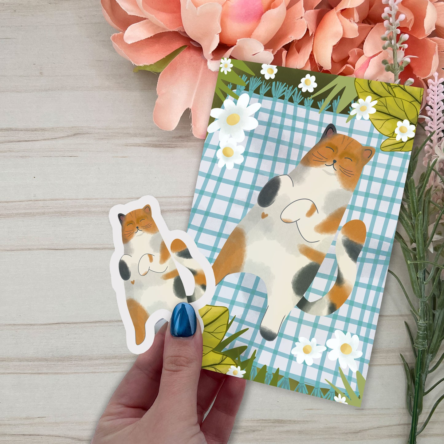 Cat of the month club - June Set