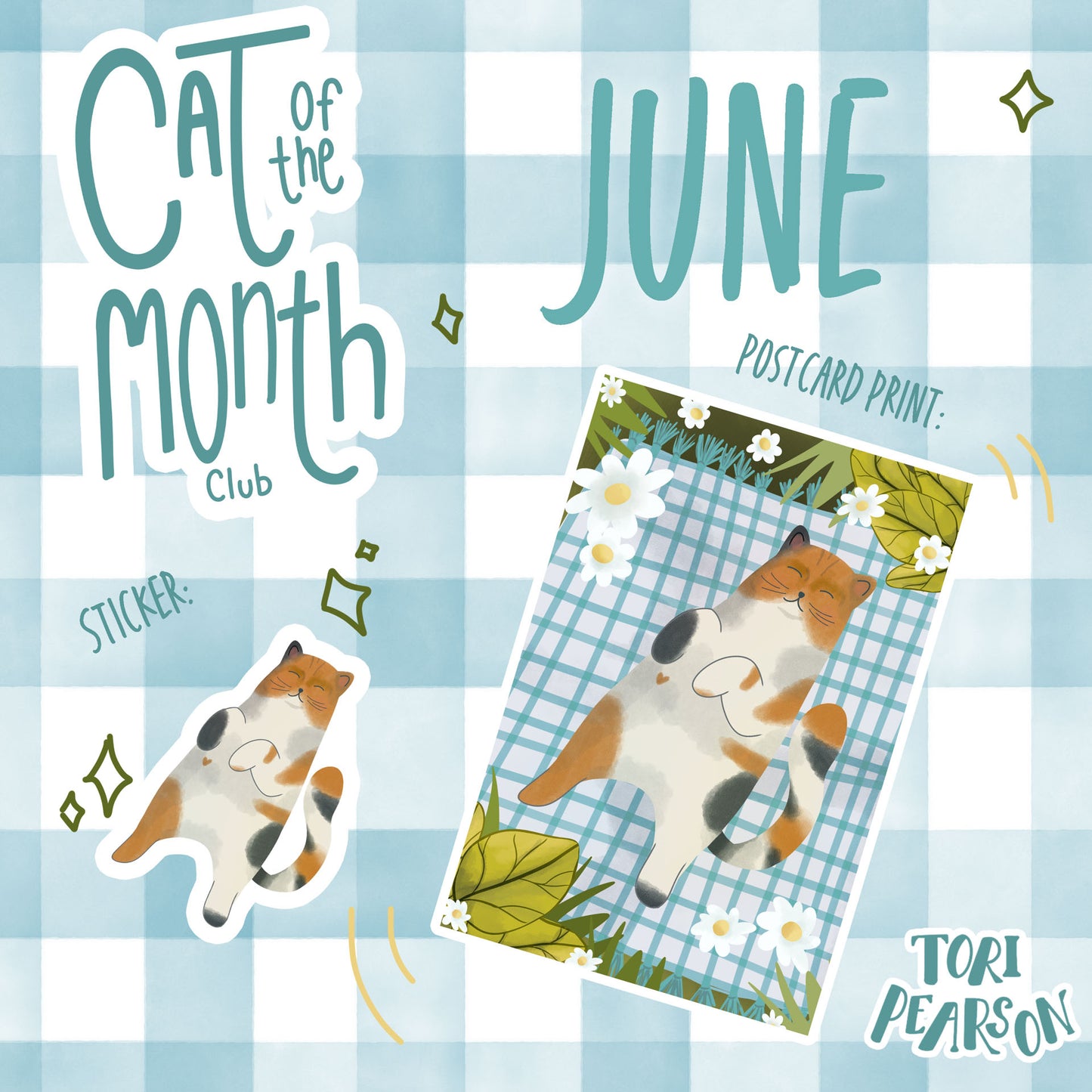 Cat of the month club - June Set