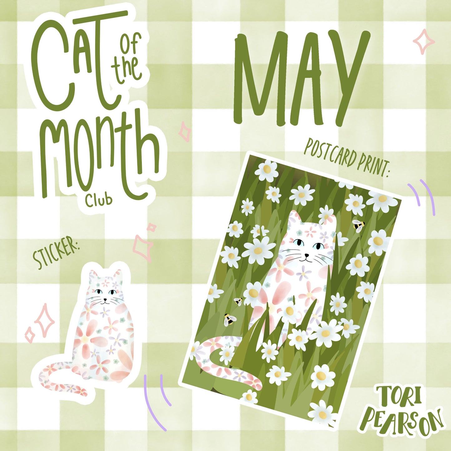 Cat of the month club -May Set