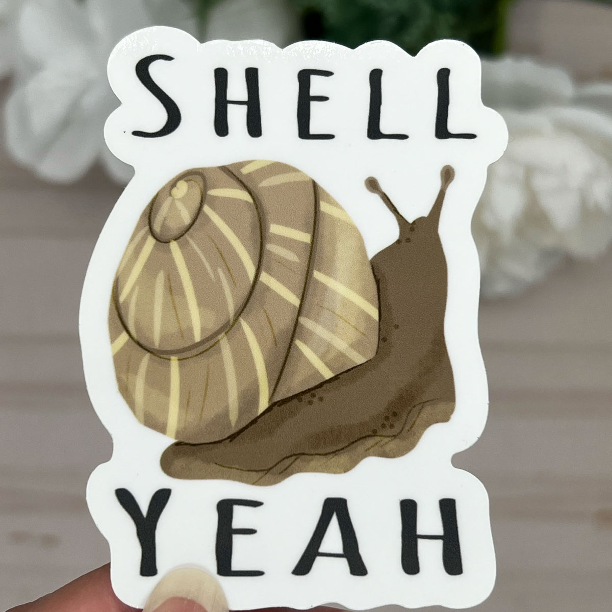 Bye Shell Shell Yeah Sticker – Torisdrawing